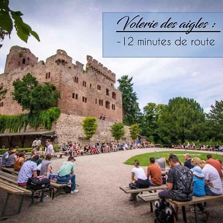 Appart 4 pers design et cosy avec Jardin au Cœur de Sélestat Esterno foto