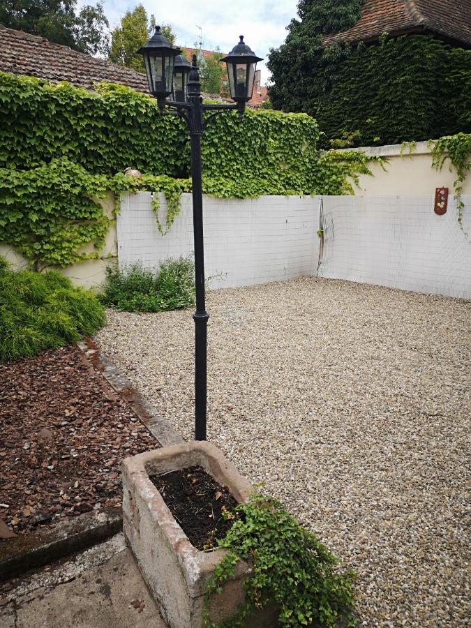 Appart 4 pers design et cosy avec Jardin au Cœur de Sélestat Esterno foto