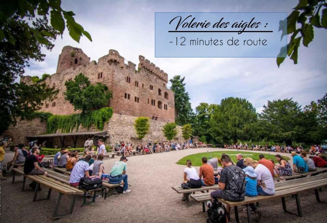 Appart 4 pers design et cosy avec Jardin au Cœur de Sélestat Esterno foto